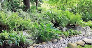 We did not find results for: Xeriscaping Your Yard For Efficiency And Aesthetics Gardener S Path