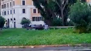 F o r g i(@franciiforgione), samuel marinaro(@samuel.marinaro18), alessio paterniti(@alessiopaterniti), . Il Cinghiale Pariolino Adottato Dal Quartiere Giu Le Mani Da Obelix Non Abbattetelo La Repubblica