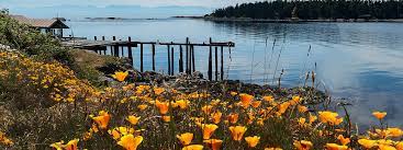 What is the zip code for lopez island? Lopez Island Chamber Of Commerce