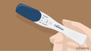 Great for new parents, grandparents. Free Pregnancy Verification Form Pdf Word Eforms