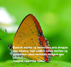 Kata kata bijak untuk calon menantu. 28 Kata Kata Mutiara Buat Mertua Kata Kata Mutiara Bucin