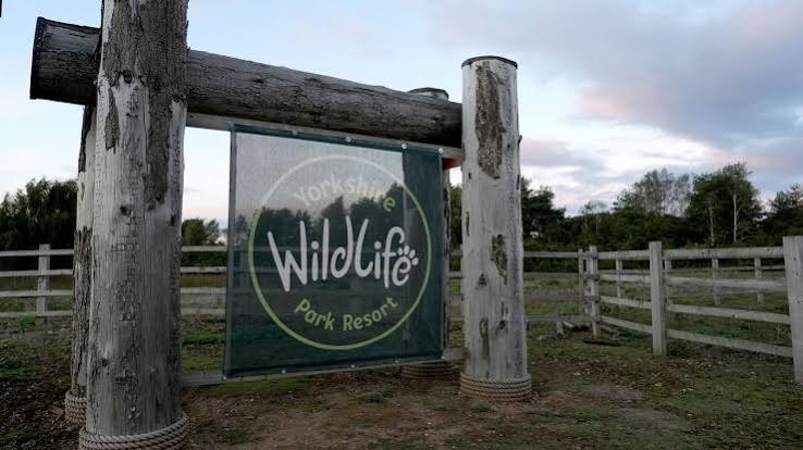 UK wildlife park to remain closed after man's death in tiger enclosure | UK  News | Sky News