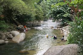 Air terjun sendat atau hutan lipur sungai sendat terletak di jalan ulu yam yang menuju ke batang kali. Mandi Manda Di Kalumpang Ratukebaya