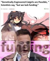 Elon musk is catching flak again, but what's it for this time? Elon Musk On Twitter Im Actually Cat Girl Here S Selfie Rn