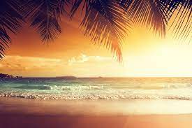 Palm trees and tropical beach, southern mahe, seychelles jon arnold. Home Decor Home Decor Posters Prints 0468 Posters Canvas Panoramic Caribbean Beach Palm Trees Sea Nature Postereck