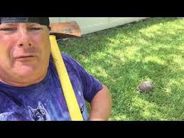 Scott herbig (scottherbig0)