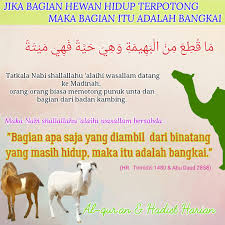 Bahagian badan haiwan by goh hooi ling 10881 views. Jika Bagian Hewan Hidup Terpotong Maka Bagian Itu Adalah Bangkai Jalan Dakwah