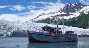 Auklet Charter Services Scientific Research And Alaska