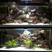 I Hope Im Not The Only One That Has A Star Wars Fish Tankhttps I Redd It X378gdlzbw351 Jpg Fish Tank Amazing Aquariums Star Wars