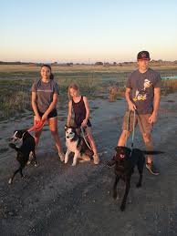 I know it's mid-winter and all, but does anyone have chickens that still  produce enough to sell 12-18 eggs a week? If so what price?