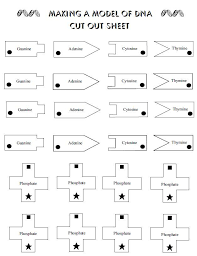 It is important to decide in advance which marshmallows (or fruits or candies) represent which chemicals, because the chemicals bond in specific ways. Pin On Assignments