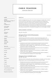 Managing Director Resume Writing Guide 12 Examples Pdf