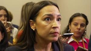 Social media star "The Dogist" talks new book, online fame