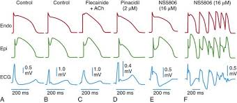 Image result for J Wave