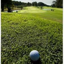 How to book your next tee time at rumbling bald resort. 50 Gift Certificate To Ridgetown Golf Curling Club Ridgetown On
