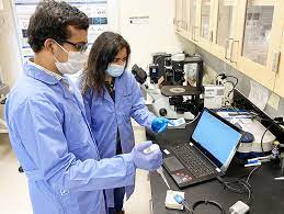 If during the course of an examination your doctor uncovers an the laboratory technicians will put the sediment under a microscope and will examine it and count. Covid 19 Rapid Test Has Successful Lab Results Research Moves To Next Stages University Of Nevada Reno