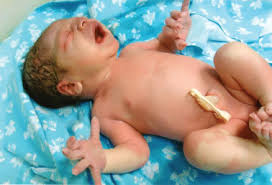 Image result for Harlequin Color Change