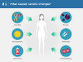 The Genetics of Cancer - NCI