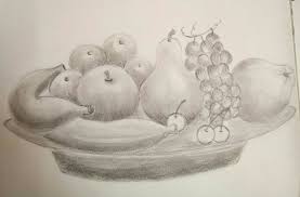 Fruit Basket Pencil Shading Creative Art Pencil Shading Art
