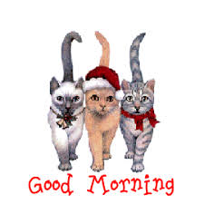Good Morning Cat Animation