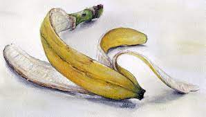 Banana Skin By Debra Morris Via Flickr Banana Painting Banana Sketch Banana Skin