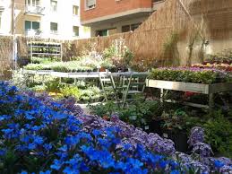 Nel vivaio cipolloni potete scegliere personalmente i prodotti, professionalità e serietà vi accompagneranno dall'acquisto alla consegna. Senape Vivaio Urbano Il Mondo Del Verde Nel Centro Di Bologna Arredamento Garden Center