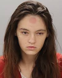 Knox County Tennessee