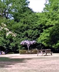 Boulter's lock is a lock and weir on the river thames in england on the eastern side of ray mead road/lower cookham road (a4094) runs alongside the lock, and there is a car park with ample. Plenty To See At Boulters Lock Picture Of Boulter S Lock And Ray Mill Island Maidenhead Tripadvisor
