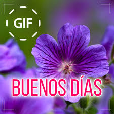 We provided more beautiful spanish good morning images. Spanish Good Morning Good Day Gifs Images 1 05 3 Apk Download Com Topideadesign Spanish Gifs Buenosdiasdeseos Apk Free