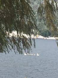 Check spelling or type a new query. I Was Lucky This Morning To Get These Monte Lake Resort Facebook