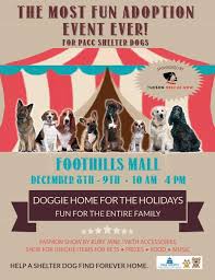 Tucson friends of tradional music. Events Tucson Rescue Now