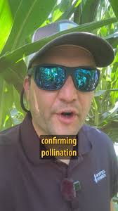 Any facebook fans from the Spencer, IA area? Matt Conlon is our DSM in the  Spencer area.