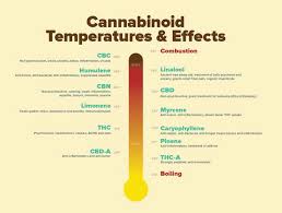 Vaping Temperature The Best For Each Cannabinoid Terpene