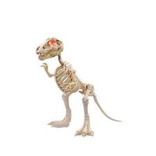 34 In Animated T Rex With Led Eyes Halloween Skull Decorations Fun Halloween Decor Halloween Props