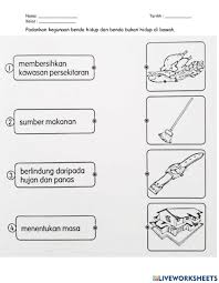 Benda hidup juga melalui proses tumbesaran. Kegunaan Benda Hidup Benda Bukan Hidup Worksheet