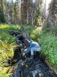 High elevation creek biomonitoring for climate impacts - Living Lakes Canada