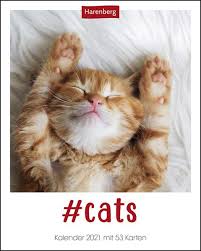 Cats Kalender 2021 Weitere Tierwelt Thalia