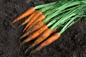 Here are the top vegetables to grow at home if you're looking to save some cash, according to anglian home improvements. 15 Healthiest Vegetables Hgtv
