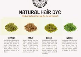 See more ideas about hair, hair styles, dyed hair. Natural Hair Dye Brief Info About Four Different Plant Powders Used To Acheive Natural Hair Dye Natural Hair Styles Dyed Natural Hair Indigo Powder For Hair