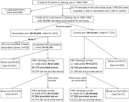 flow chart of the qidong hepatitis b intervention study