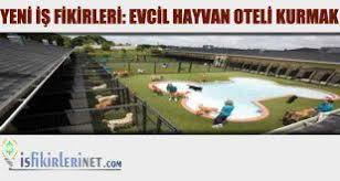 Evcil Hayvan Oteli Oteller Evcil Hayvanlar Hayvan