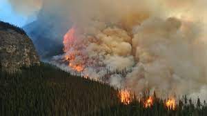 In california, residents were urged to cut power. How Weather Covid 19 Spared Canada From Wildfires Like Those In The U S Ctv News