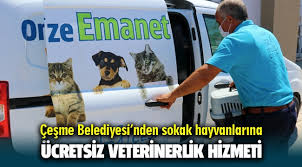 Cesme Belediyesi Nden Sokak Hayvanlarina Ucretsiz Veterinerlik Hizmeti Menemen Haber Menemen Gazetesi