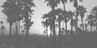 Black And White Header Background Pin By Aida Np On Cars And Motorcycles Just Girly Things Girly Things Just Girl Things