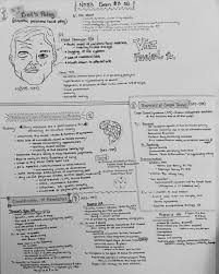 Exam 3 Sg Bell S Palsy Ha Carpal T Alz Nursing School Notes Nursing Study Medical Surgical Nursing