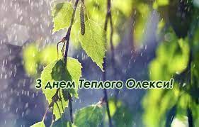 Звичайно, кожен регіон був багатий на свої звичаї та традиції. Teplogo Oleksi 2020 Sho Mozhna Robiti I Ne Mozhna Prikmeti Na Oleksiya