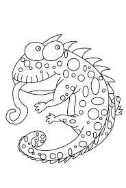 These coloring pages feature a realistic line drawing of the panther chameleon. Chameleon Coloring Pages Free Printables Momjunction Snake Coloring Pages Animal Coloring Pages Coloring Pages