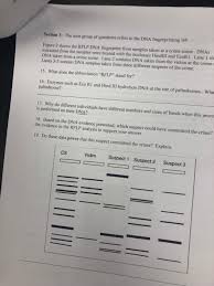 Access to all gizmo lesson materials, including answer keys. Fingerprint Analysis Questions