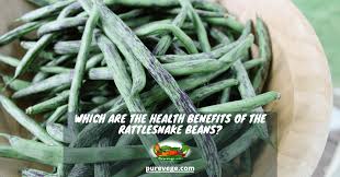  fresh beans contain a good amount of vitamin c. Which Are The Health Benefits Of The Rattlesnake Beans