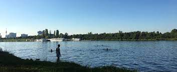 Want to discover art related to donaustadtbrücke? Die Besten Badeplatze An Der Alten Donau Goodnight
